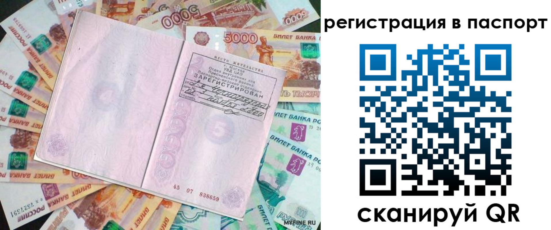 найти адрес прописки в Курске